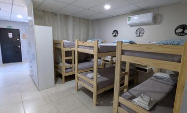 Departamentos monoambientes amoblados en Senillosa