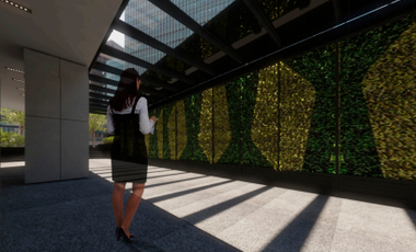 LOCALES COMERCIALES RENTA EN POLANCO