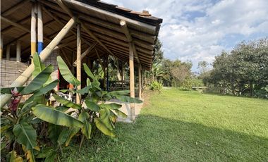 Venta de finca cafetera en Circasia Quindio, vereda la Siria