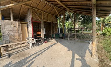 Venta de finca cafetera en Circasia Quindio, vereda la Siria