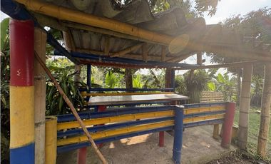 Venta de finca cafetera en Circasia Quindio, vereda la Siria