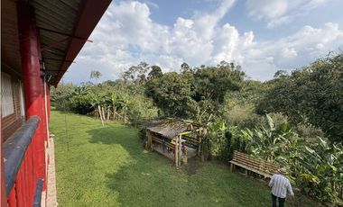 Venta de finca cafetera en Circasia Quindio, vereda la Siria