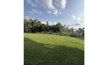 Venta de finca cafetera en Circasia Quindio, vereda la Siria