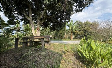 Venta de finca cafetera en Circasia Quindio, vereda la Siria