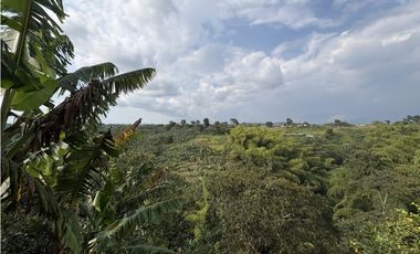 Venta de finca cafetera en Circasia Quindio, vereda la Siria