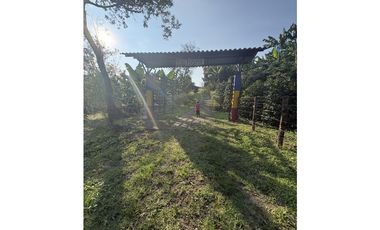 Venta de finca cafetera en Circasia Quindio, vereda la Siria