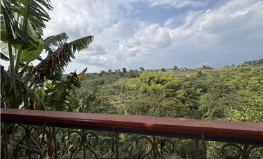 Venta de finca cafetera en Circasia Quindio, vereda la Siria