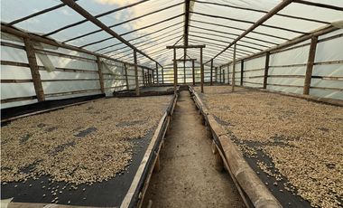 Venta de finca cafetera en Circasia Quindio, vereda la Siria