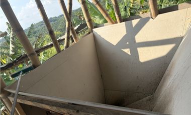 Venta de finca cafetera en Circasia Quindio, vereda la Siria