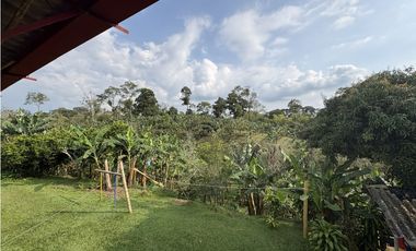 Venta de finca cafetera en Circasia Quindio, vereda la Siria