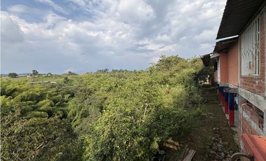 Venta de finca cafetera en Circasia Quindio, vereda la Siria
