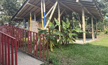 Venta de finca cafetera en Circasia Quindio, vereda la Siria