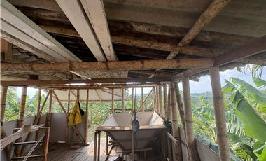 Venta de finca cafetera en Circasia Quindio, vereda la Siria