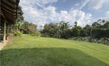 Venta de finca cafetera en Circasia Quindio, vereda la Siria