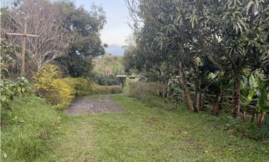 Venta de finca cafetera en Circasia Quindio, vereda la Siria