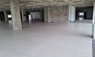 Local Comercial en Renta Bernardo Quintana | 505 m² | Alto Flujo
