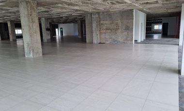 Local Comercial Grande en Renta Querétaro | 1,150 m² | Bernardo Quintana