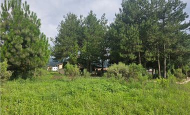 Bonito terreno en zona céntrica de mazamitla, jalisco