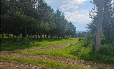 Bonito terreno en zona céntrica de mazamitla, jalisco