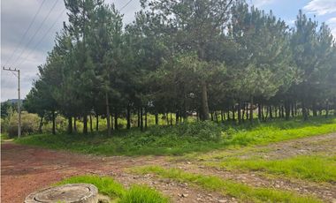 Bonito terreno en zona céntrica de mazamitla, jalisco