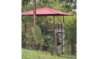 Se Vende Finca - Alcala Quimbaya