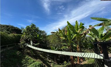 Se Vende Finca - Alcala Quimbaya
