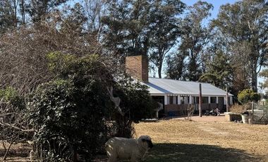 Casa en Venado Tuerto