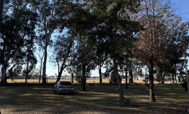 Casa en Venado Tuerto