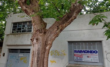 CASA A RECICLAR - ADROGUE - TOMA DEPTO EN MAR DEL PLATA HASTA 40% - POSIBILIDAD DE 3 UF