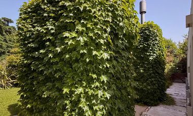 CASA 6 AMBIENTES EN VENTA, BARRIO EL CARDAL I, LOS CARDALES