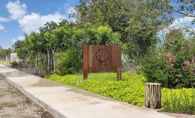 Casa en venta tipo Tiny House contenedor en Aldea Balha Telchac Puerto, Yucatán.