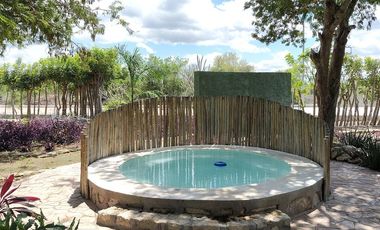 Casa en venta tipo Tiny House contenedor en Aldea Balha Telchac Puerto, Yucatán.