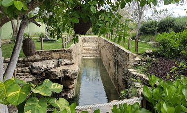 Casa en venta tipo Tiny House contenedor en Aldea Balha Telchac Puerto, Yucatán.