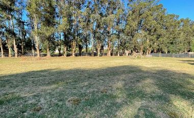 Terreno en Barrancas de San Benito Country Club