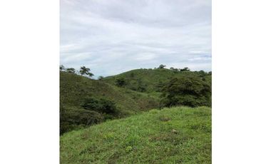 VENTA DE FINCA EN SANTIAGO DE VERAGUAS