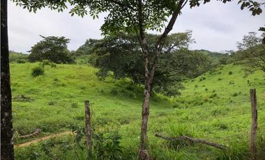 VENTA DE FINCA EN SANTIAGO DE VERAGUAS