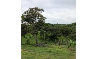 VENTA DE FINCA EN SANTIAGO DE VERAGUAS