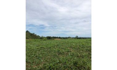 VENTA DE FINCA EN SANTIAGO DE VERAGUAS