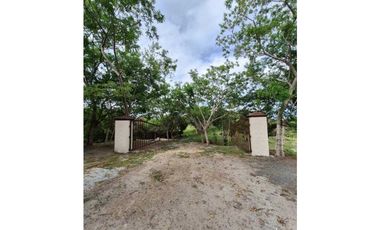VENTA DE FINCA EN EL HIGO SAN CARLO GANGA