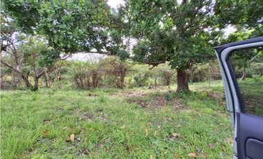 VENTA DE FINCA EN EL HIGO SAN CARLO GANGA
