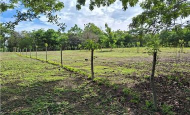 VENTA DE FINCA EN EL HIGO SAN CARLO GANGA