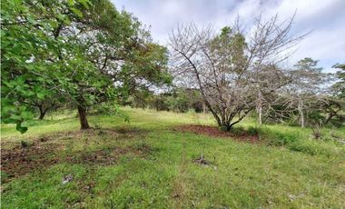 VENTA DE FINCA EN EL HIGO SAN CARLO GANGA