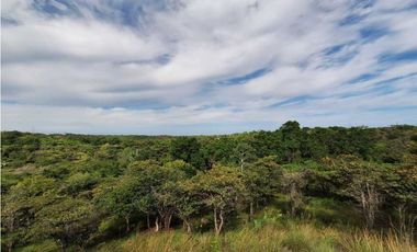 VENTA DE FINCA EN EL HIGO SAN CARLO GANGA
