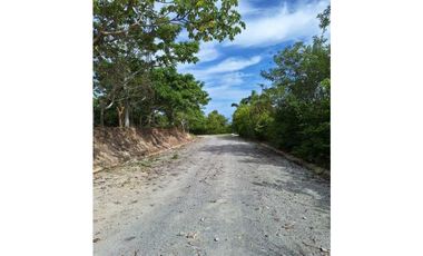 VENTA DE FINCA EN EL HIGO SAN CARLO GANGA