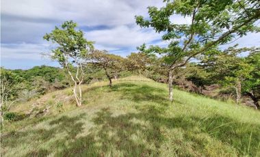 VENTA DE FINCA EN EL HIGO SAN CARLO GANGA