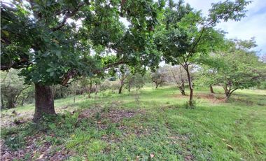 VENTA DE FINCA EN EL HIGO SAN CARLO GANGA
