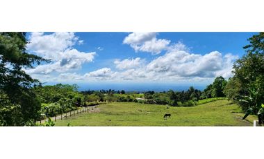 Copia de VENTA DE CASA EN BOQUETE CON HERMOSA VISTA