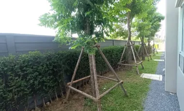 ✨ For Rent: Dcondo Sand Hatyai