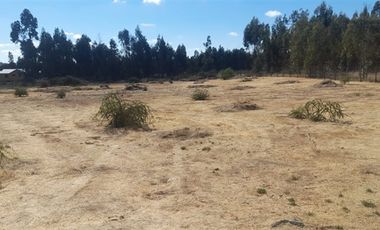 Parcela en Venta en litueche