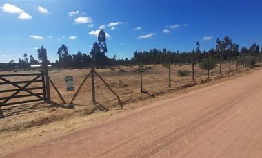 Parcela en Venta en litueche